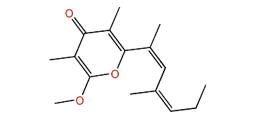 Isoplacidene A
